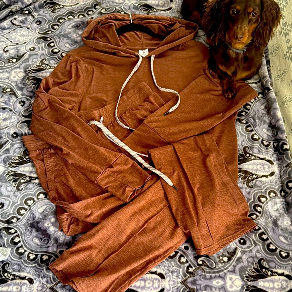 Cozy Brown Hoodie and Joggers Set